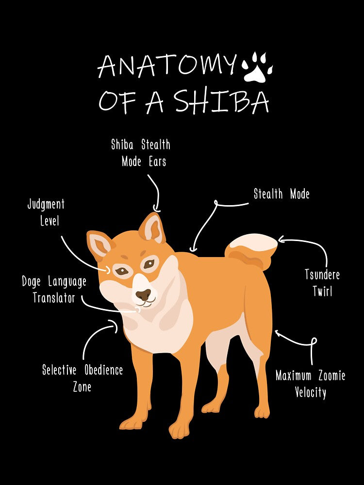 Anatomy of a Shiba by Petensity