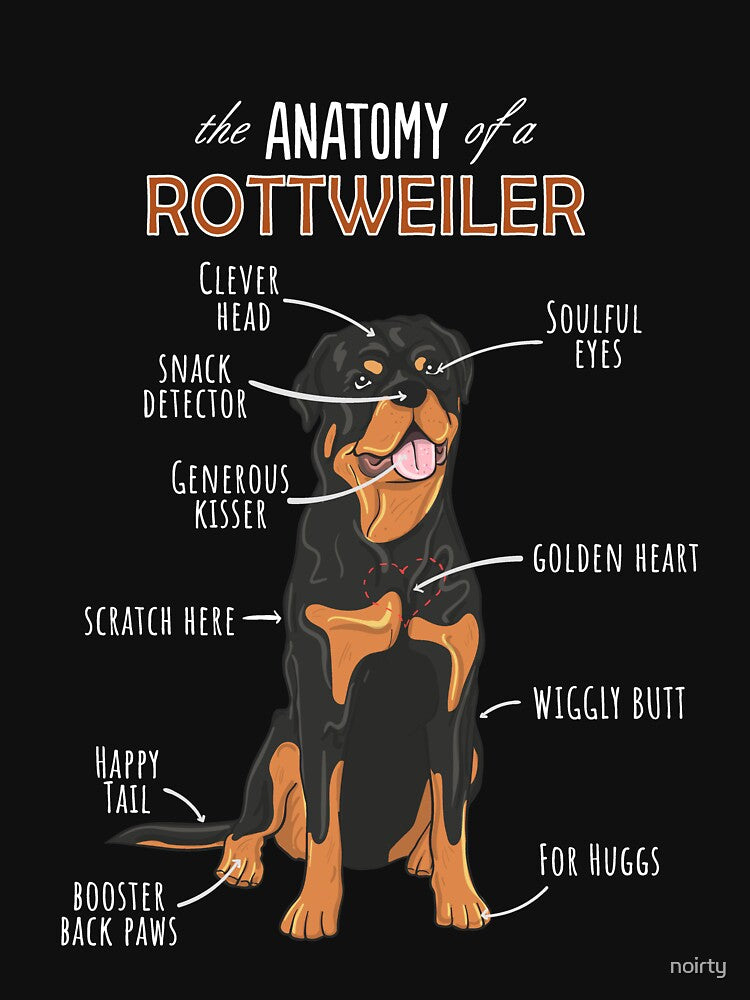 The Anatomy Of A Rottweiler Funny Dog by noirty