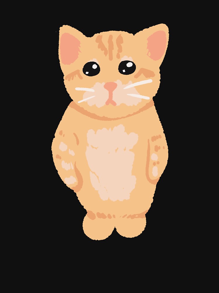 Kitten meme by Expansive Imagination