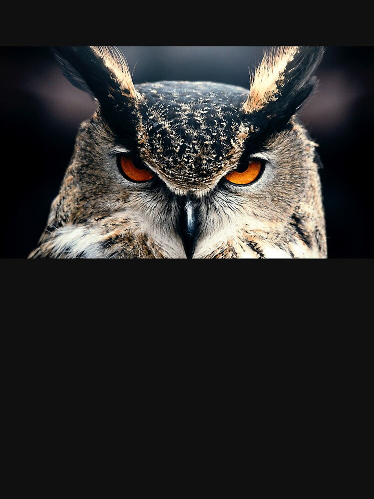 Owl is watching you by zero-g