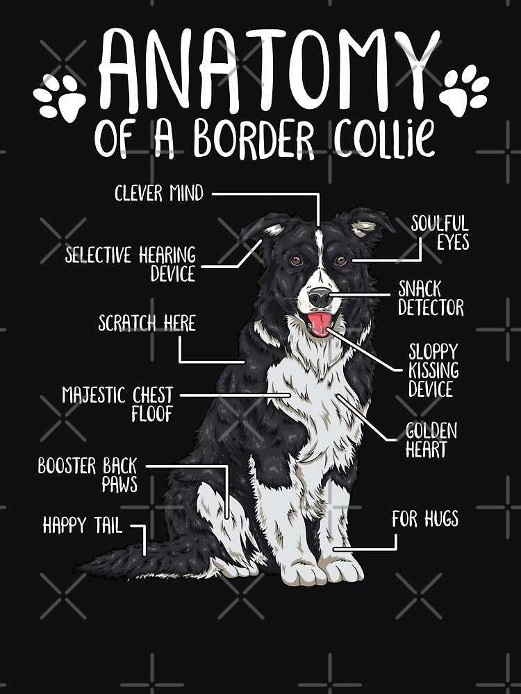 Funny Border Collie Anatomy Dog Lover by lanynx design