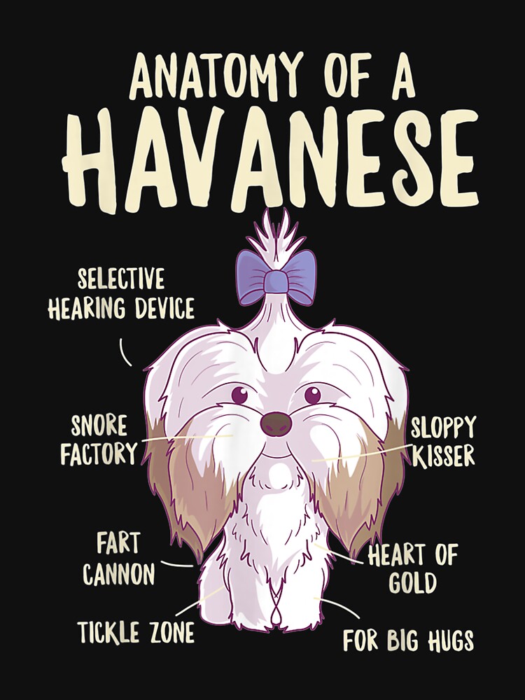 Anatomy Havanese Owner Puppy Funny Cute by dominique235