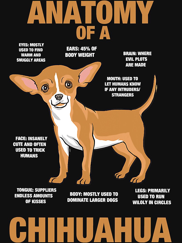 Anatomy Of A Chihuahua Funny Dog Puppy by EleanorDuncan