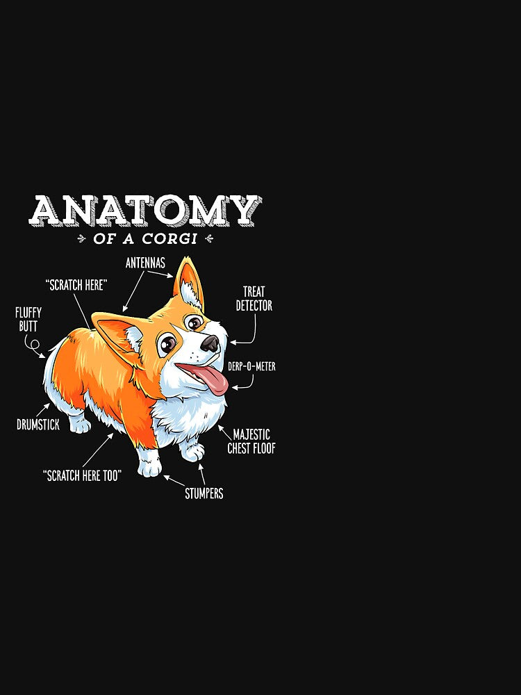 Corgi Women Kids Men Anatomy of a Corgi by CharlotteHicks