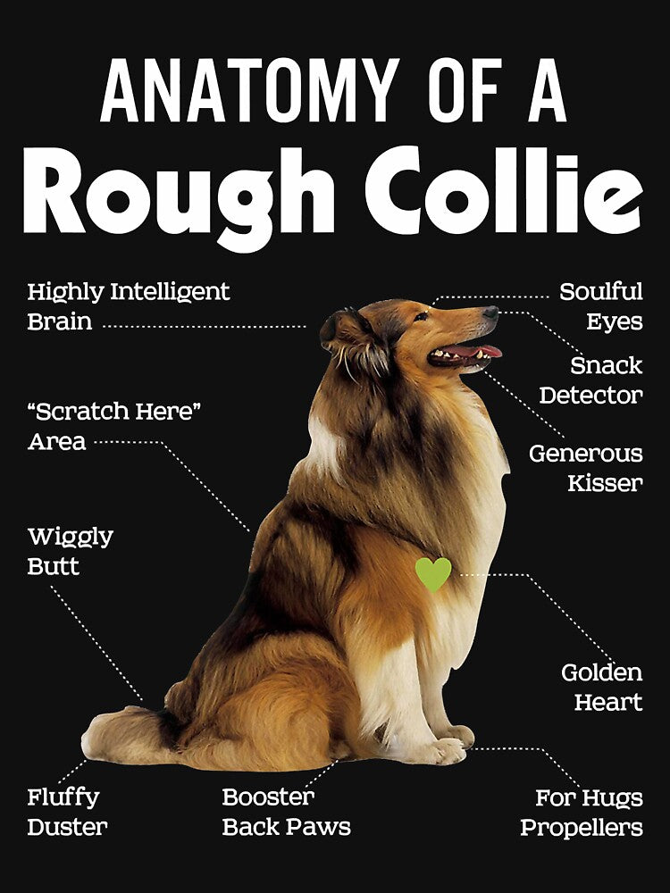 Anatomy Of A Rough Collie Funny Dog Lover by CeciliaGallaway