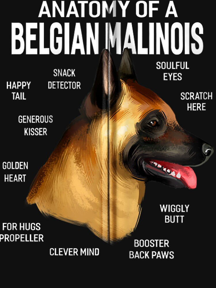 Dogs 365 Anatomy of a Belgian Malinois Dog Funny Gift Zip Hoodie by augetjalegrei