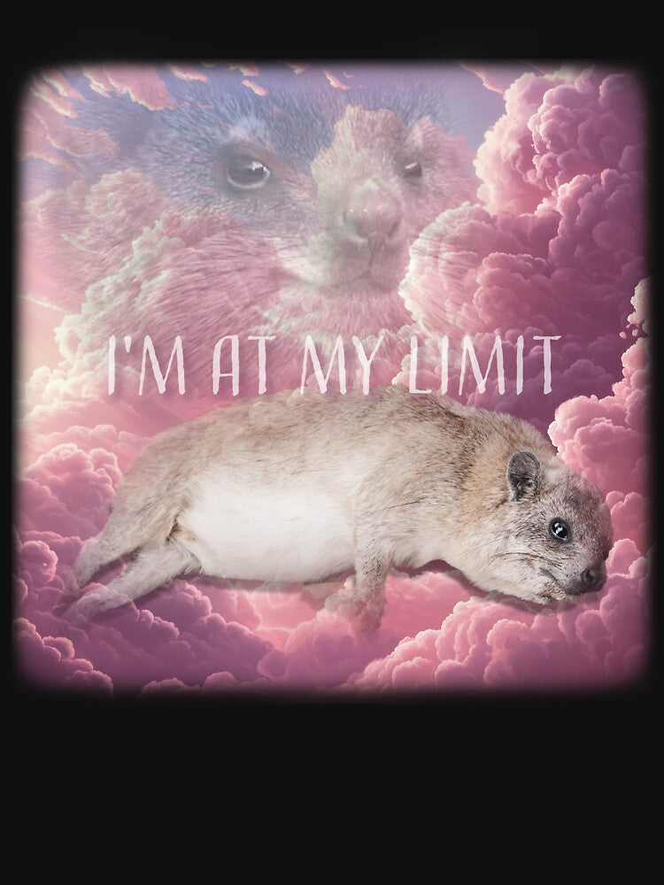 Rock Hyrax Is On His Limit by mrhyrax