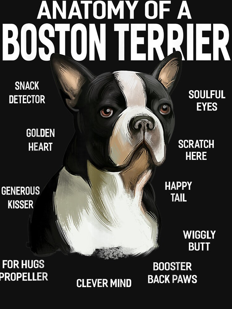 Dogs 365 Anatomy of a Boston Terrier Dog Funny Gift by huetwis