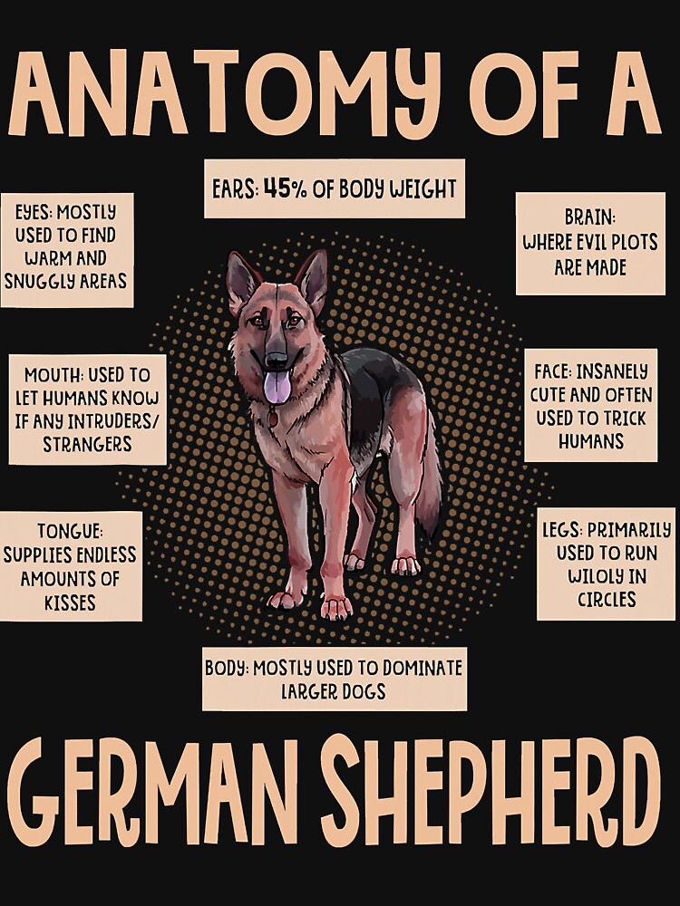 Anatomy Of A German Shepherd Funny Puppy by EmilyPippin