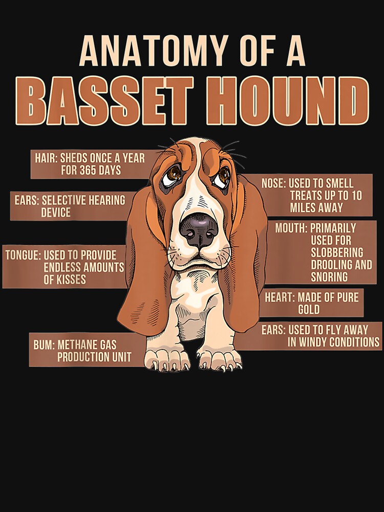 Anatomy Of A Basset Hound Funny Dogs Lover by beatabea