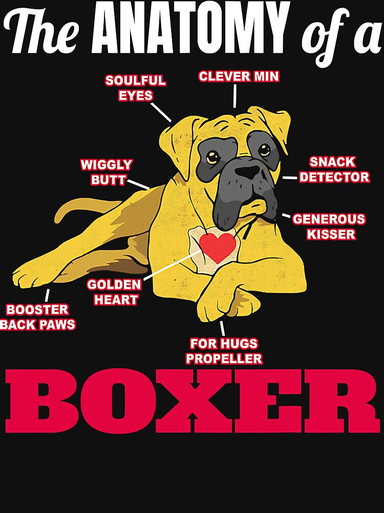 Boxer Dog Pet Paw Animal Lover Anatomy of a Boxer by JamesClarke84