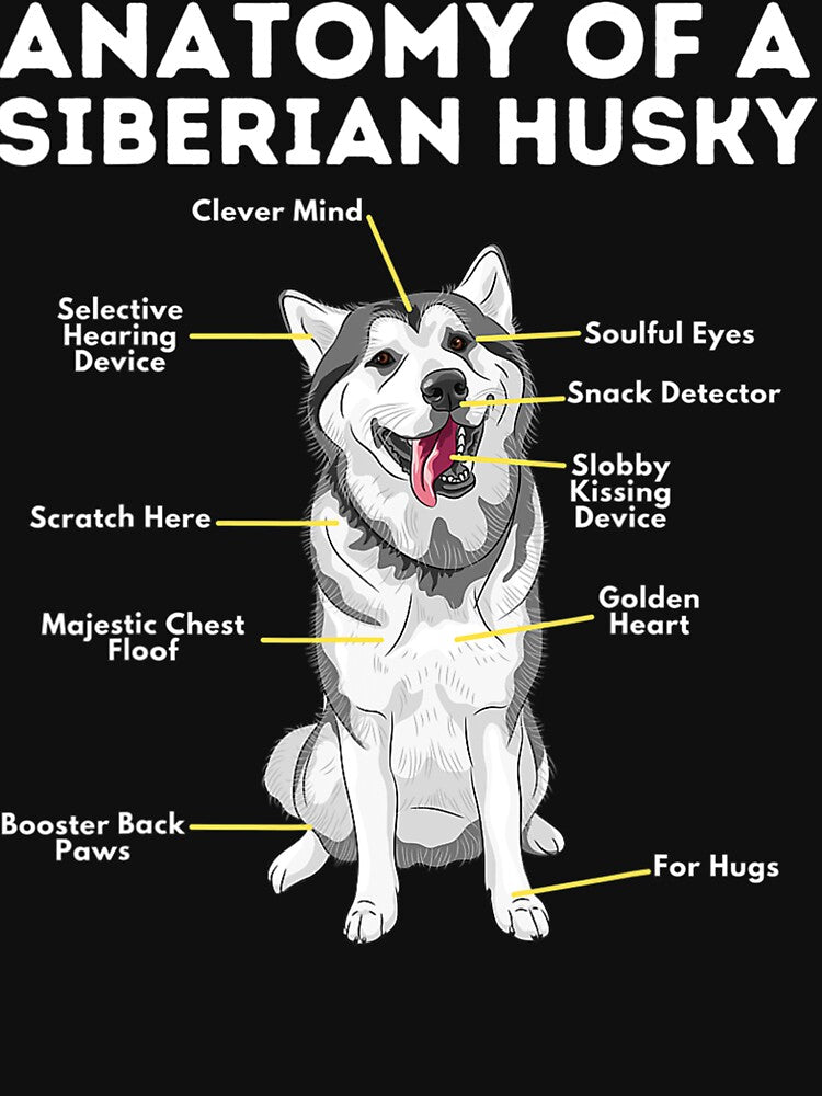 Anatomy Of A Siberian Husky - Funny Sibe Owner Dog Lover T-Shirt by hoktaka