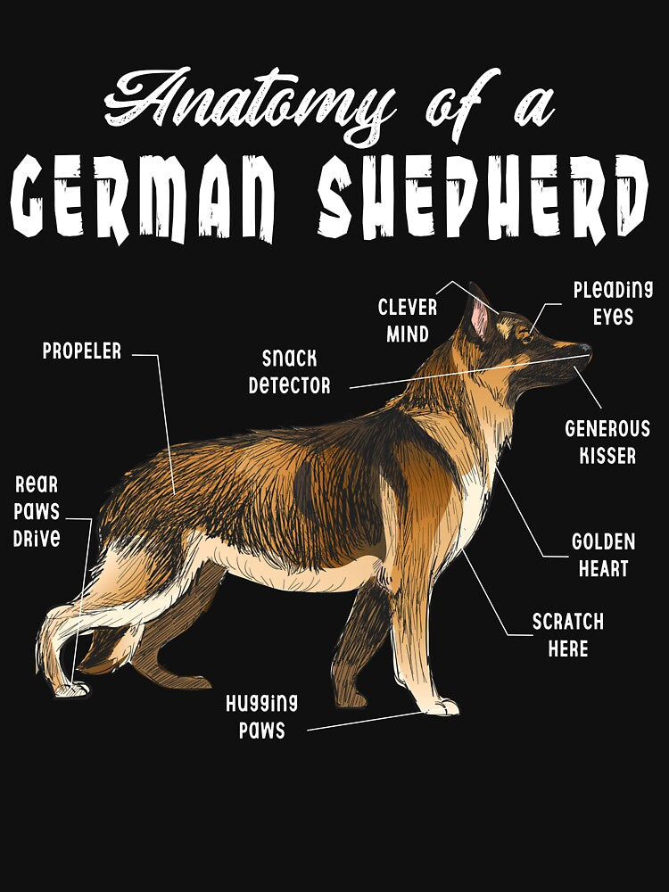 Anatomy Of a German Shepherd by NgocCong