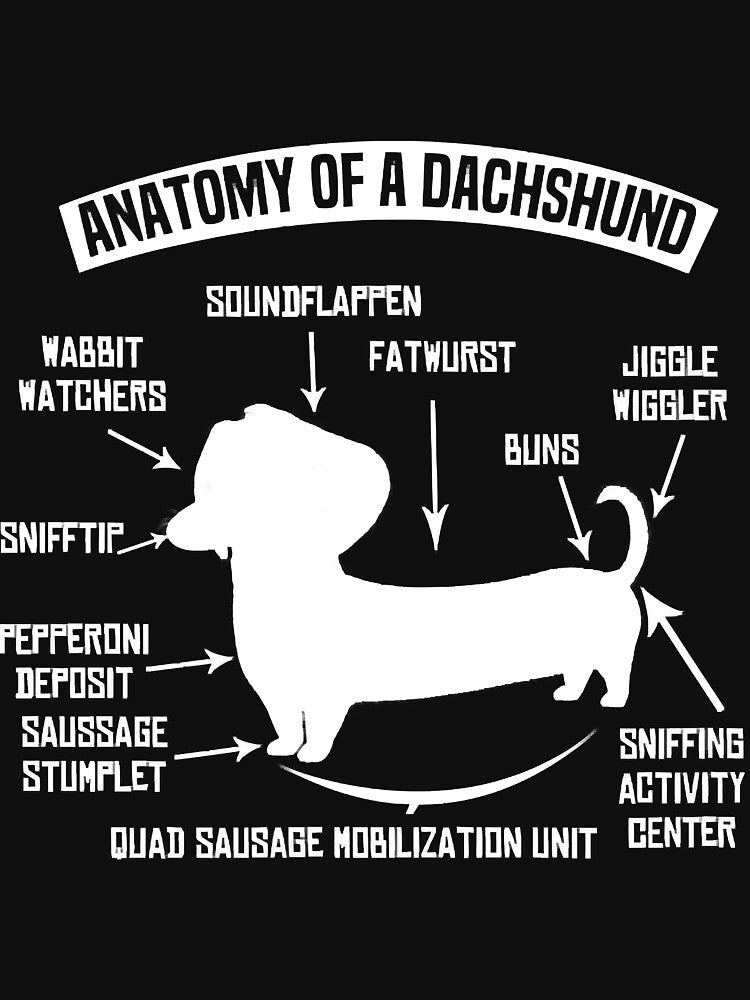 The Anatomy Of A Dachshund Dog Lovers Dogs by JohnnyBench73