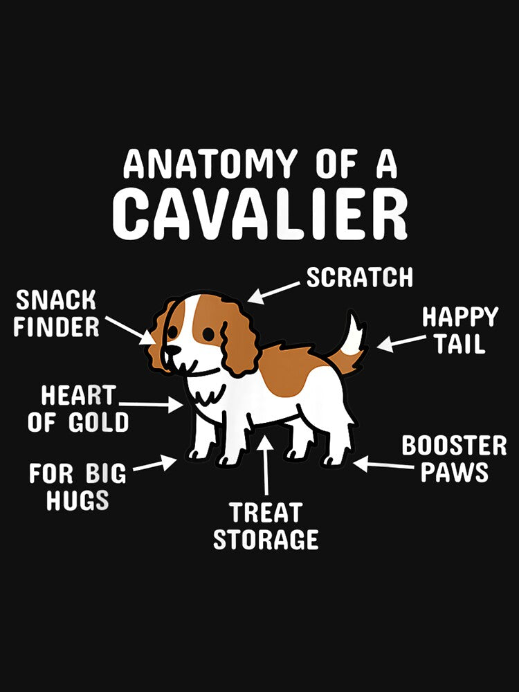 Anatomy Of A Cavalier King Charles Spaniel Dog by terrycar