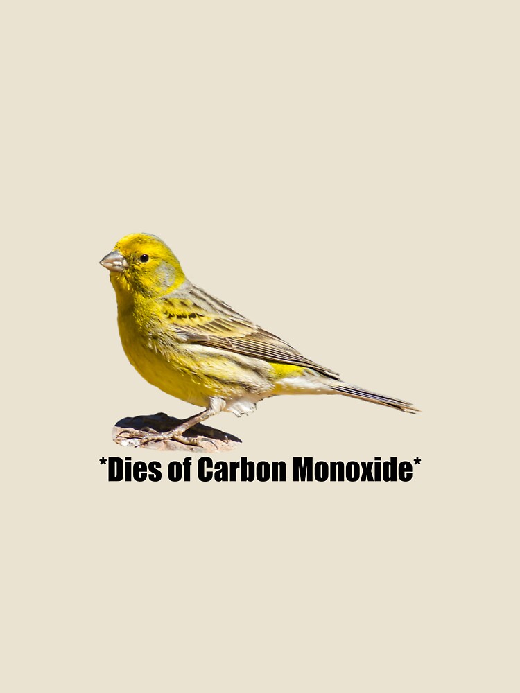 Canary by Disobeyedmocha