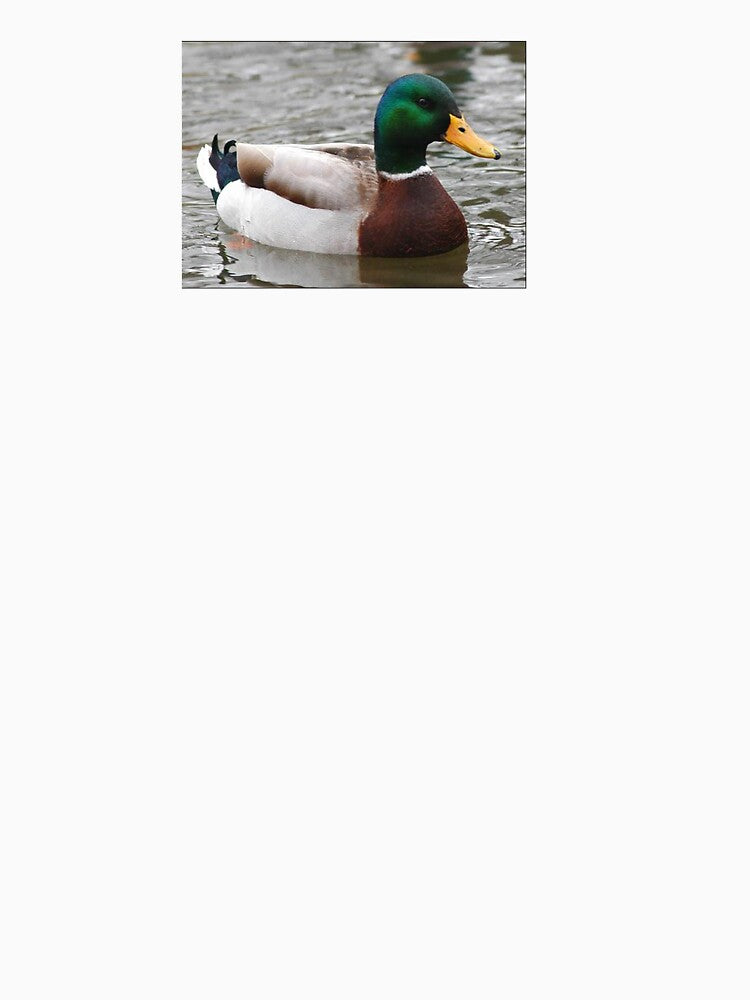 Actual Advice Mallard by Meme Economy