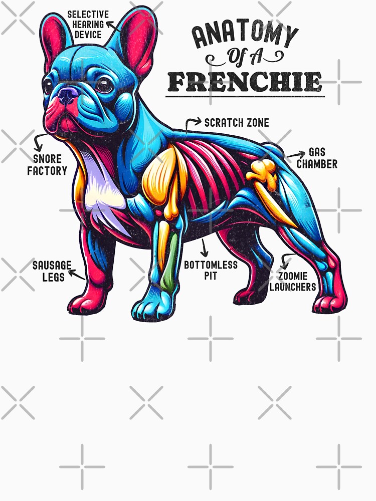 Anatomy Of A French Bulldog - Colorful Frenchie Illustration by BeansterNL