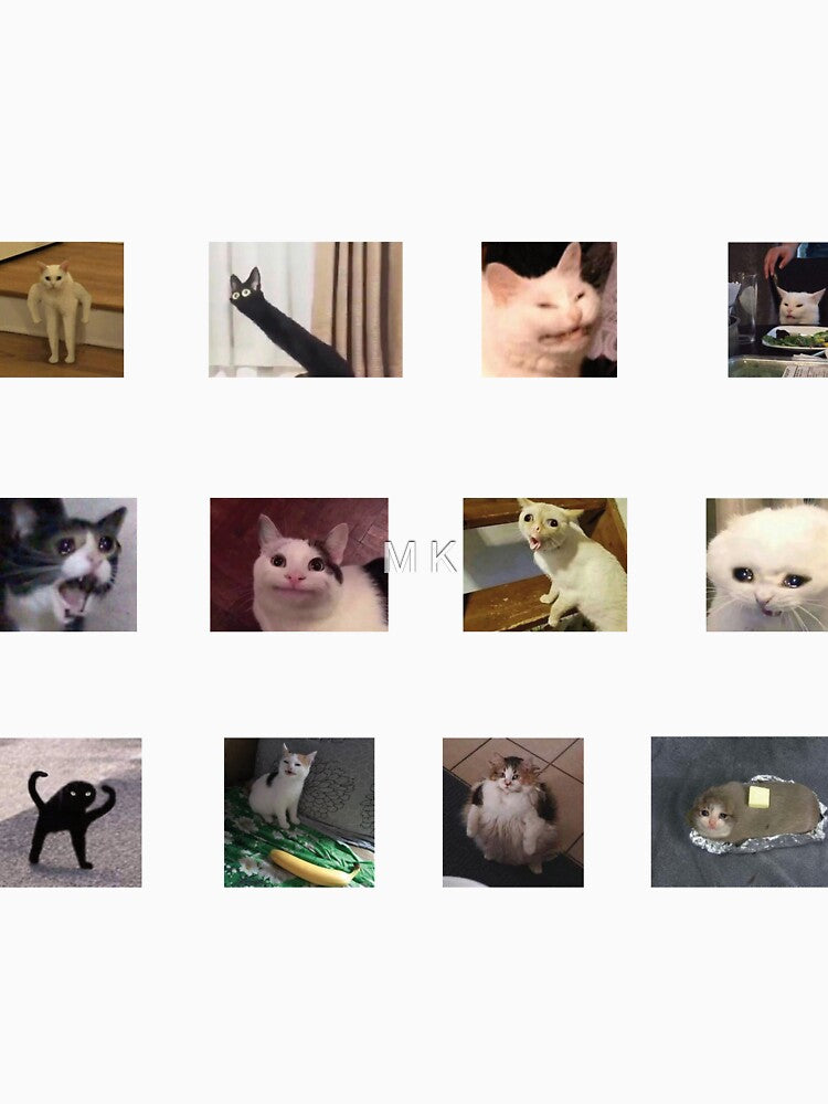 Cat memes by Mandy-Kuijper