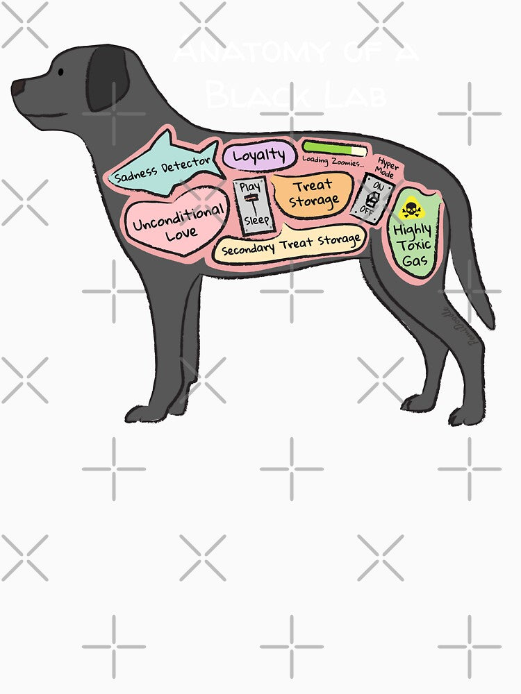 Anatomy of a Black Lab - Light Text by PemiDoodle