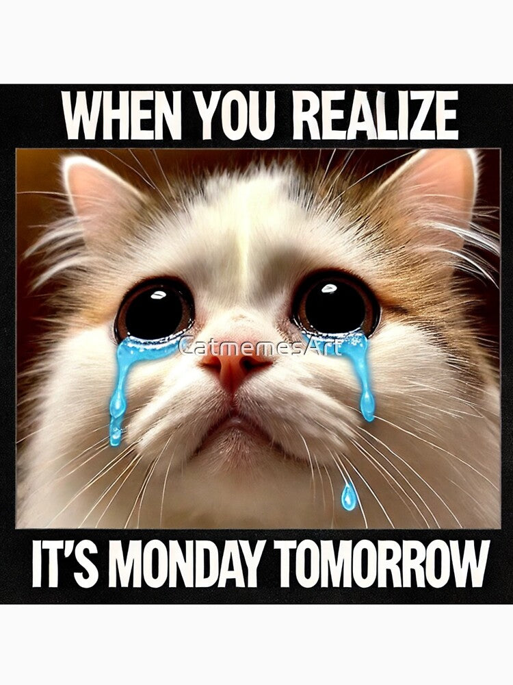 Crying Cat Meme - When You Realize It's Monday Tomorrow by CatmemesArt