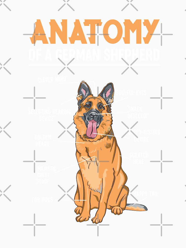Anatomy of a German Shepherd by Elitekampfei
