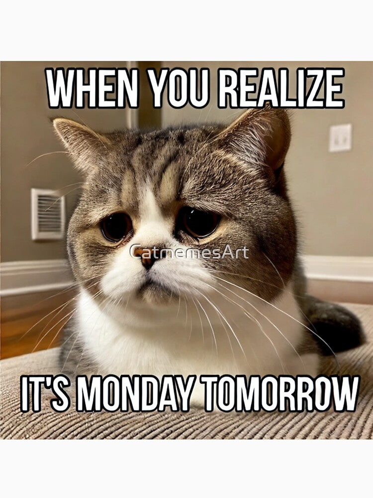 When You Realize It's Monday Tomorrow - Funny Pathetic Cat Meme by CatmemesArt
