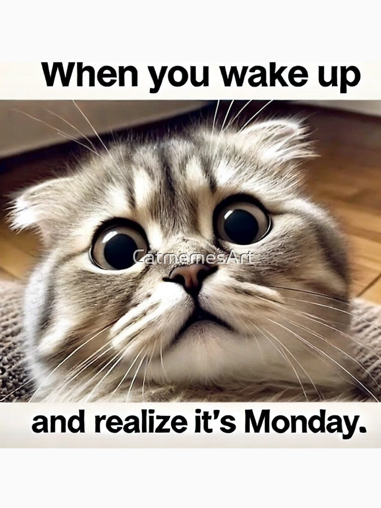 Wake Up Cat Meme - When You Wake Up and Realize It's Monday by CatmemesArt