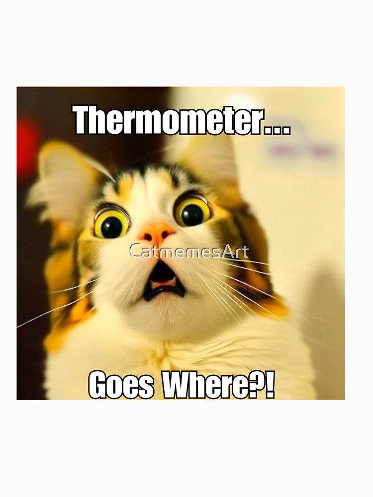 Thermometer Goes Where? - Funny Screaming Cat Meme by CatmemesArt