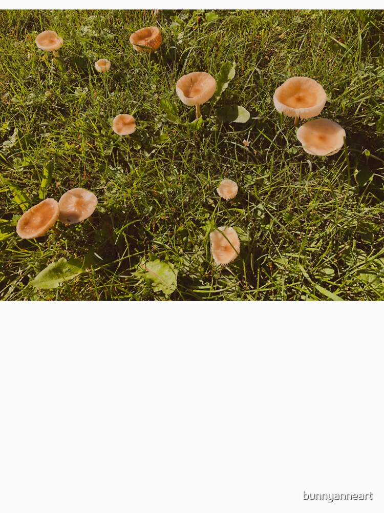 fairy mushrooms by bunnyanneart