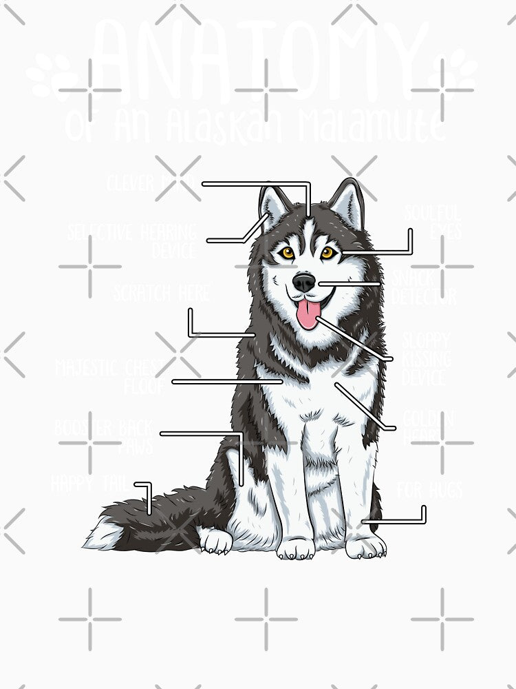 Funny Alaskan Malamute Anatomy Dog Owner Dog Lover by lanynx design