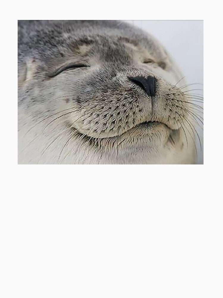 Seal of Approval by Meme Economy