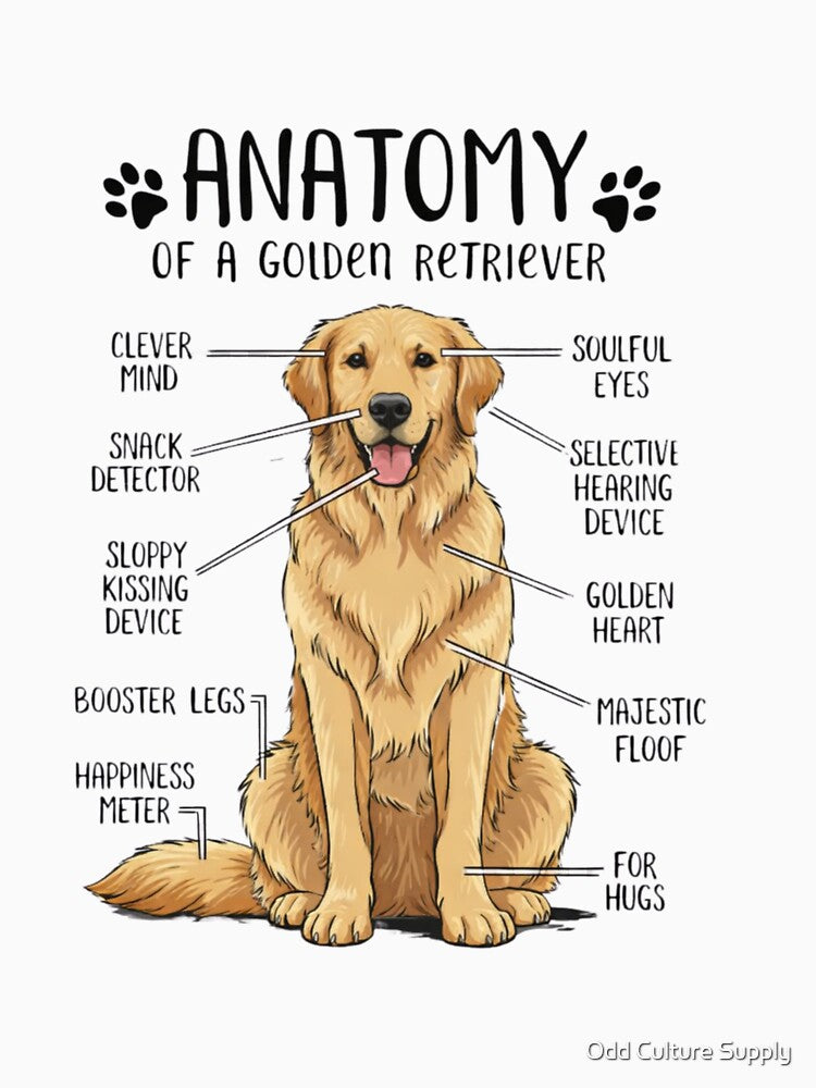 Anatomy of a Golden Retriever Funny Dog Lover Gift Shirt by Odd Culture Supply
