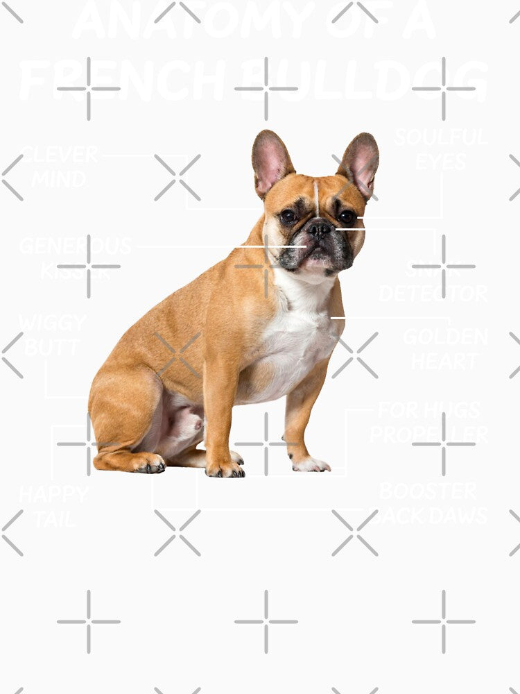 Anatomy Of A French Bulldog Funny Bulldog Owners by decentwearstore