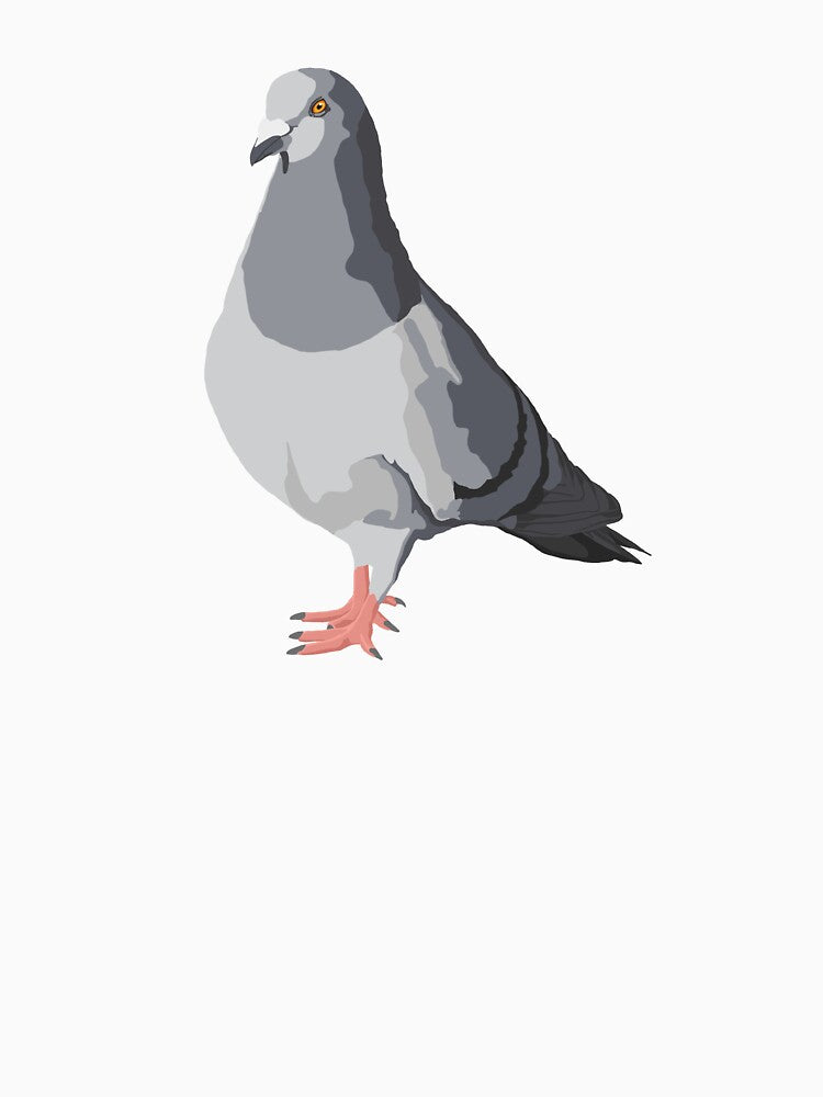 Cute Pigeon by tomfewings
