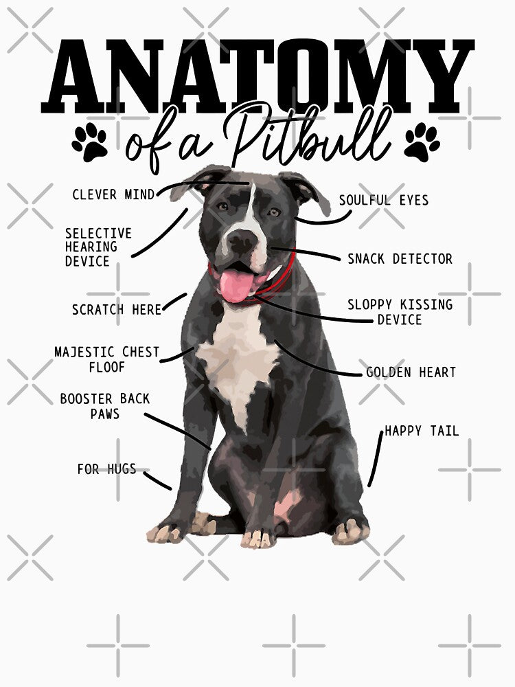 Anatomy Of A Pitbull Dog Funny Cute Pitbull Mom Pitbull Dad by PerkinsAarav