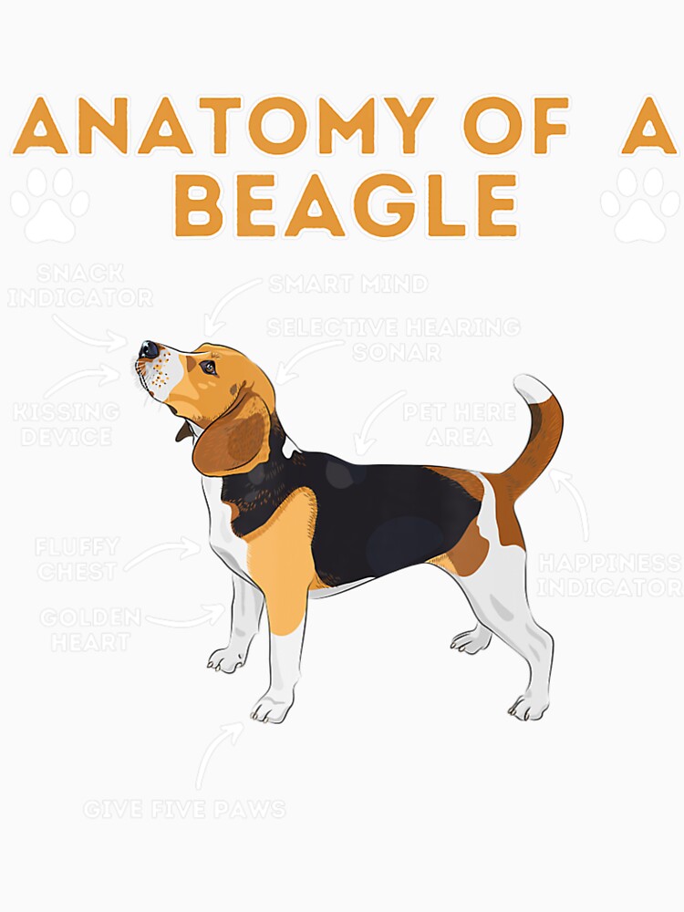 Anatomy Of A Beagle   Funny Beagle Dog Lover Pet Owner by alifehcmc