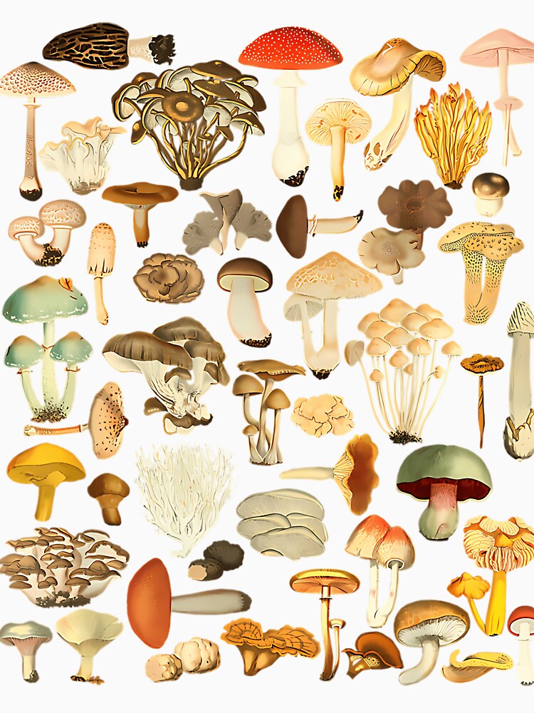 Mushroom Mycology Fungi Foraging Mushroom Whisperer by WADSWORTHSTUDIO