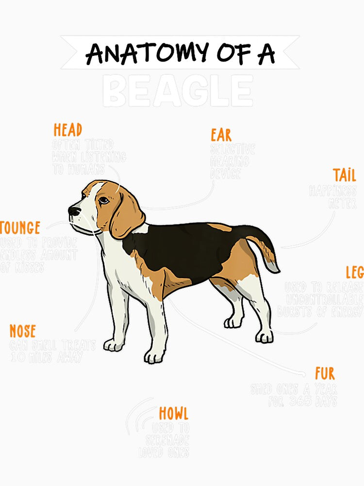 Anatomy Of A Beagle Dog Funny Dog Lover by dbvlpyyoazl38