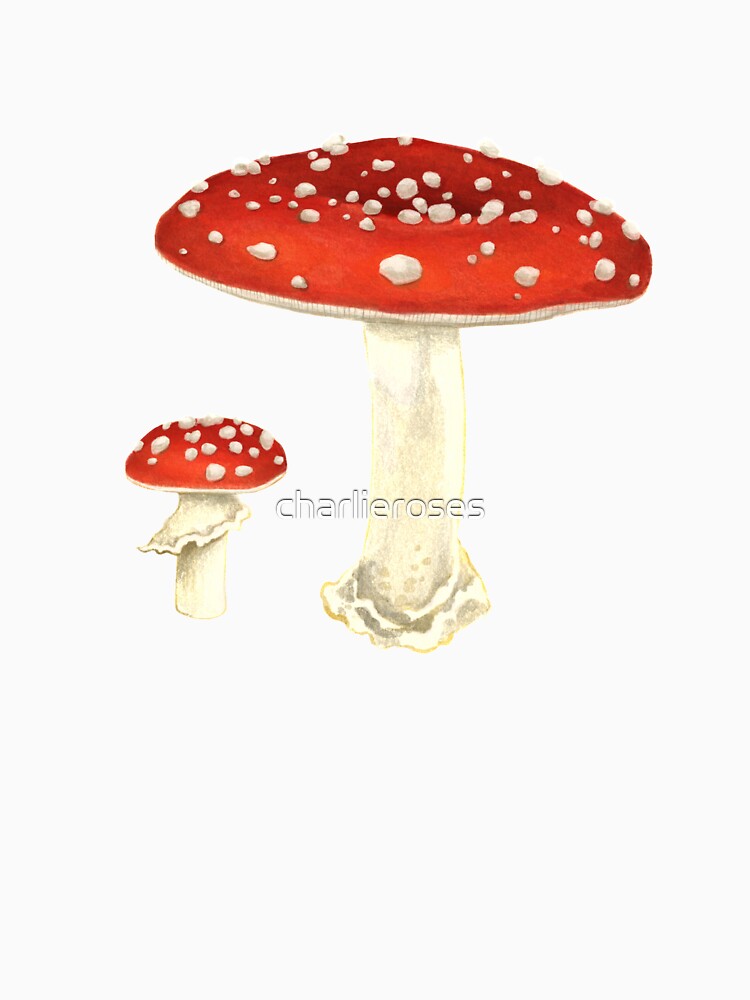 Amanita Muscaria by charlieroses