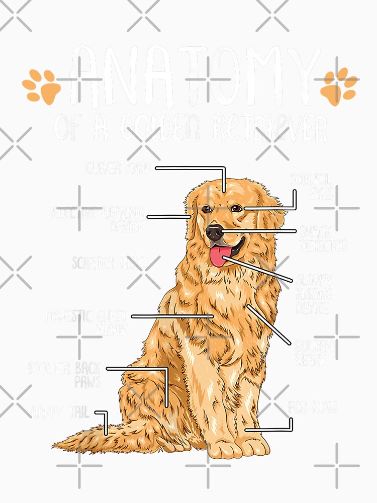 Real Anatomy of a Golden Retriever Dog Lover by myrosetee
