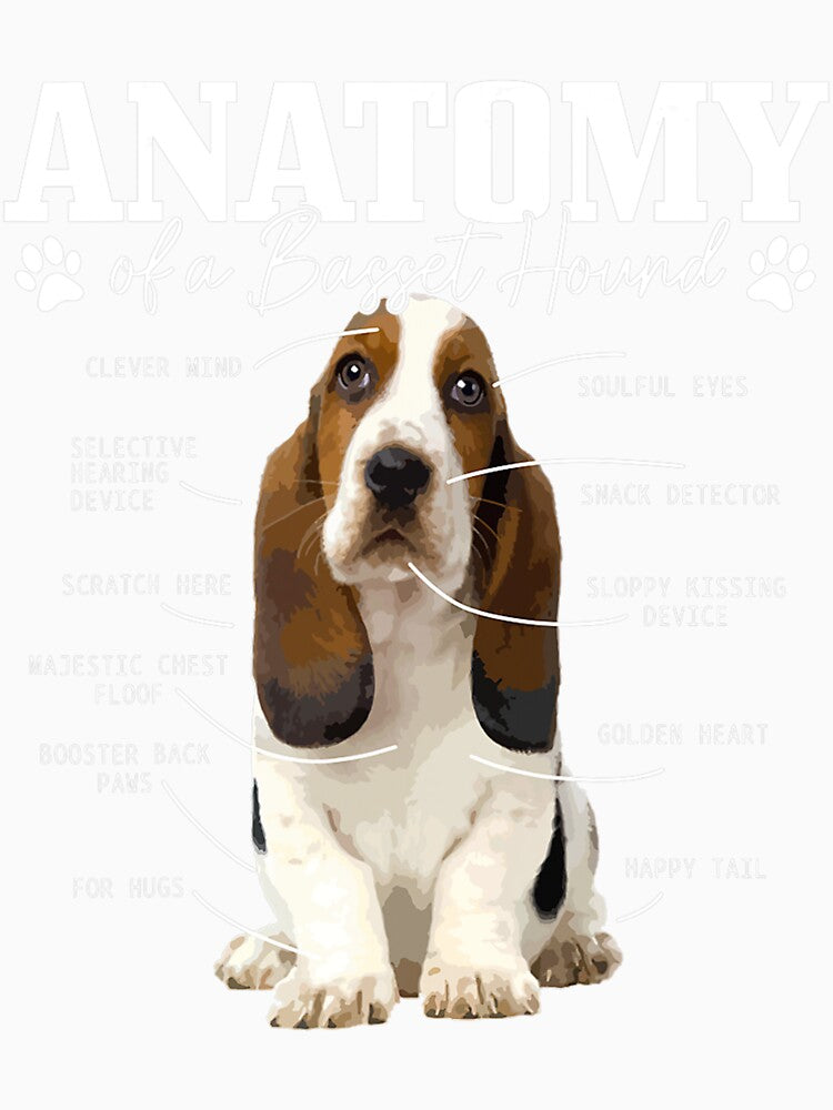 Anatomy Of A Basset Hound Funny Cute Dog Basset Mom Dad by hardrhubarb1587