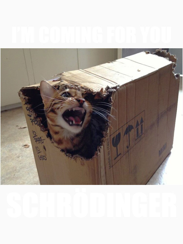 Schrodingers Cat meme by lmswebdev