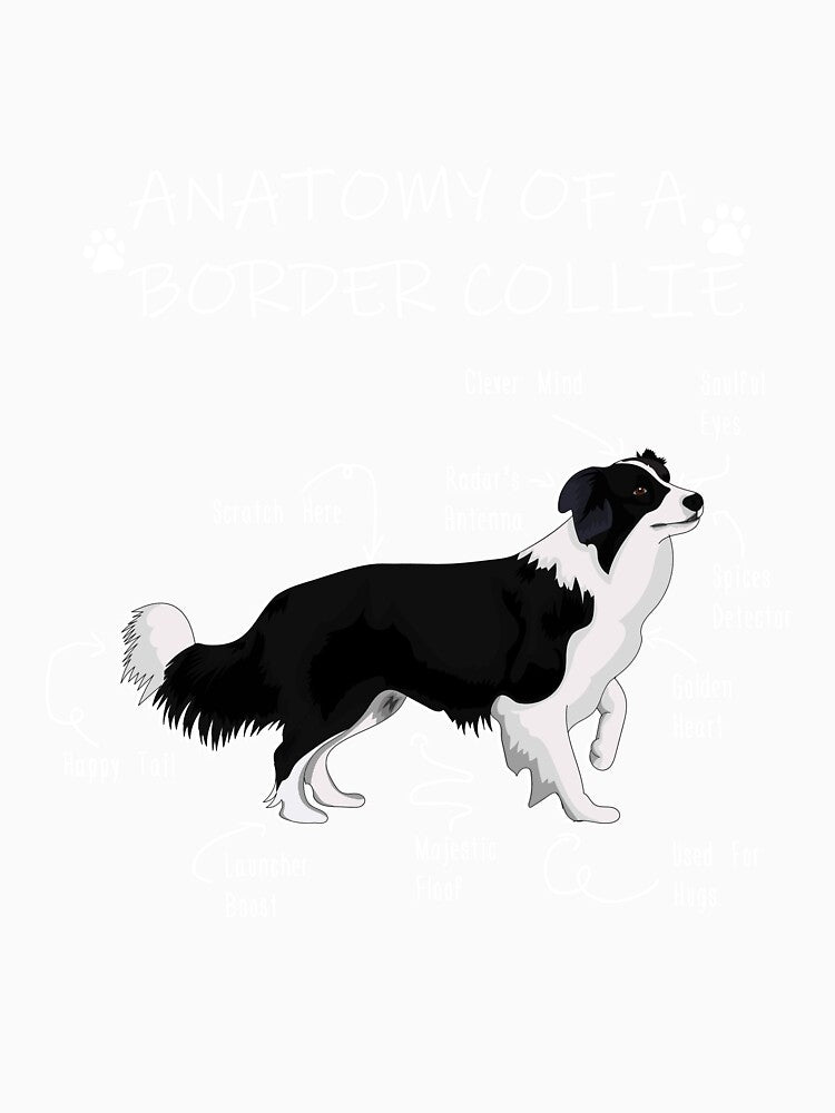 Anatomy of a Border Collie by Petensity
