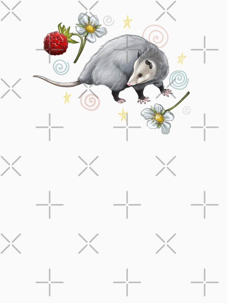 Opossum by SydArtist