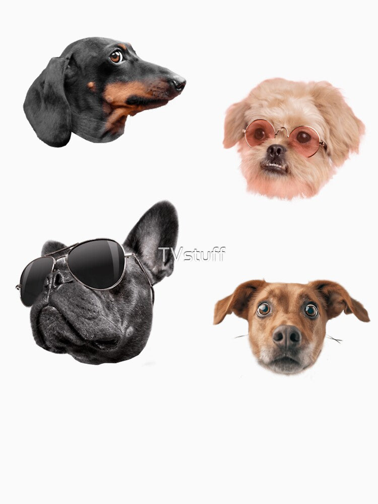 FUNNY DOGS by TVstuff