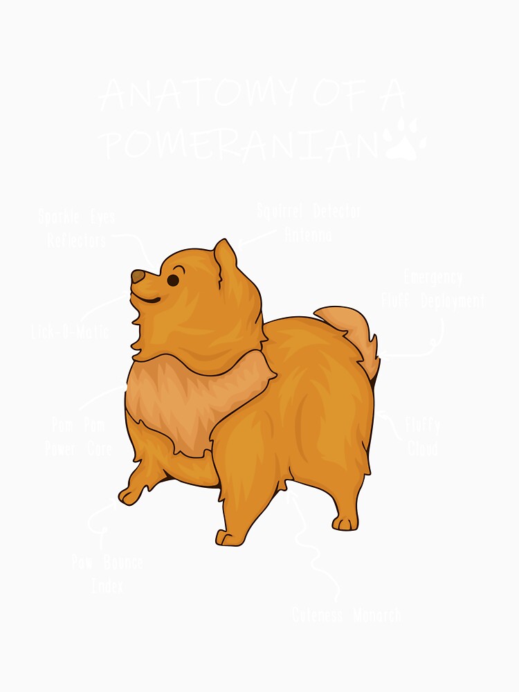 Anatomy of a Pomeranian by Petensity