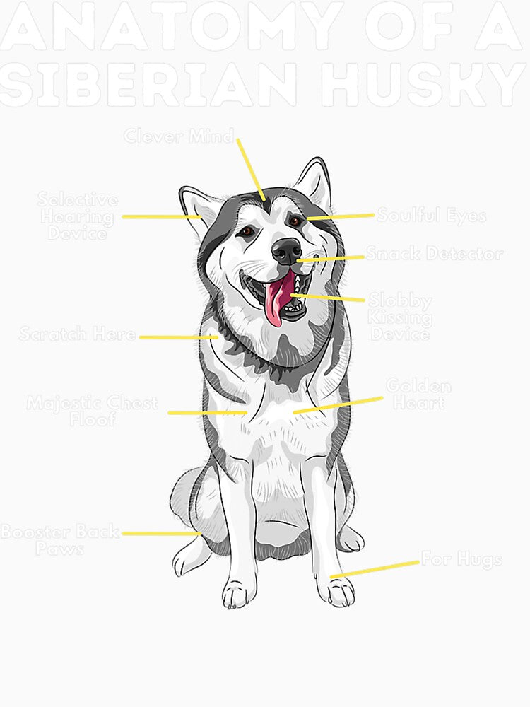 Anatomy Of A Siberian Husky - Funny Sibe Owner Dog Lover by kimngw