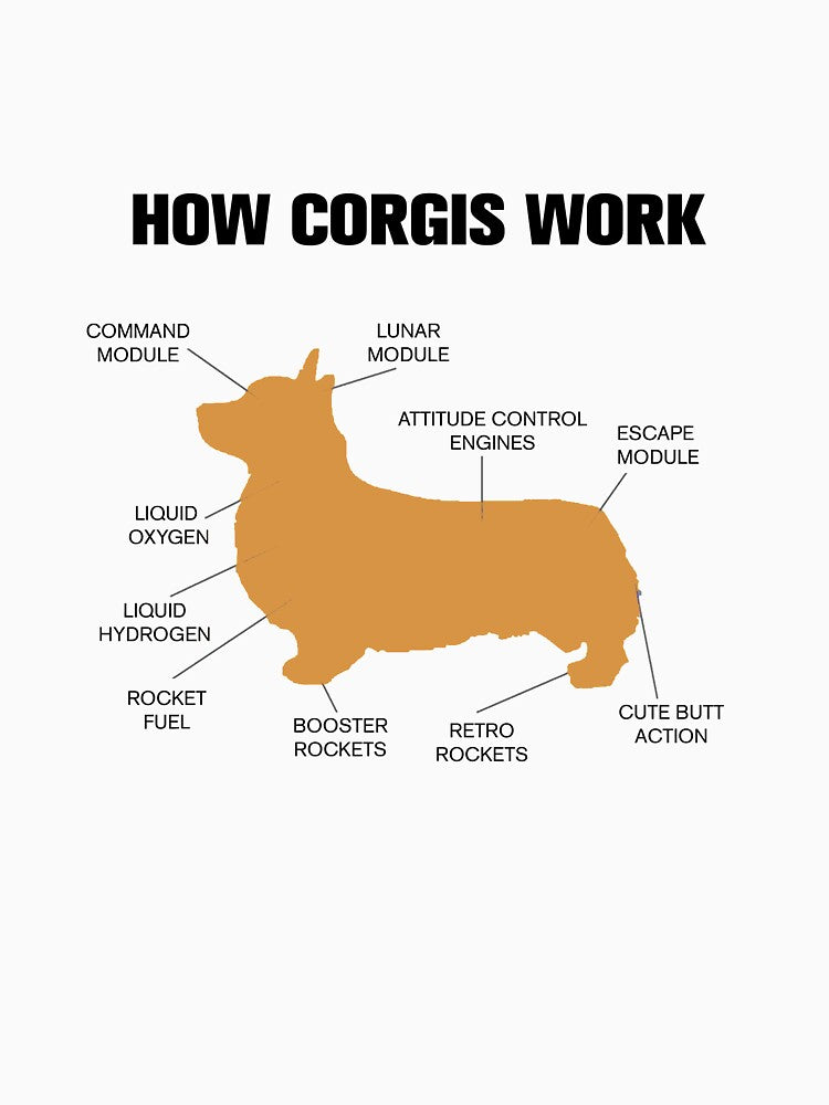 How Corgis Work - Anatomy of a Corgi by Common Truth