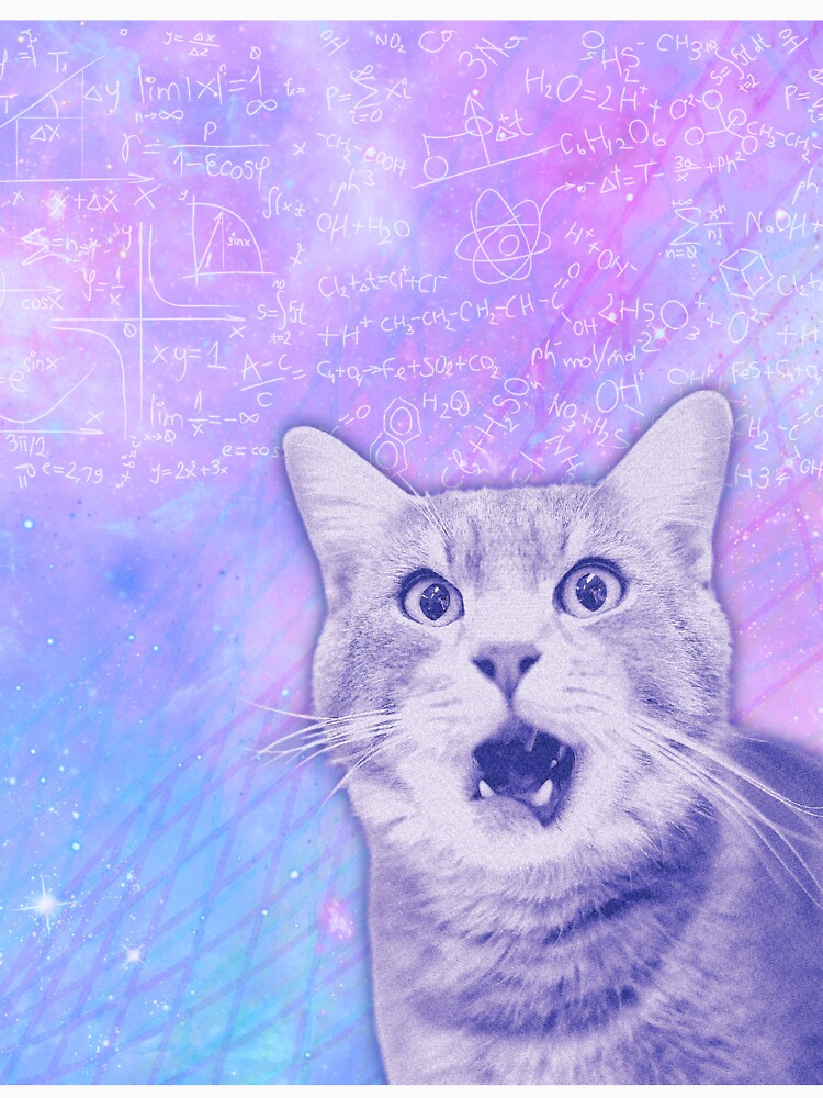 PURRPLEXITY Funny Confused Cat Meme T-Shirt by hugsandhisses